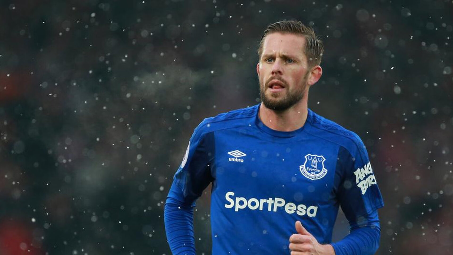 南非羚羊队的超级后排：皮特·斯图斯的精彩表现